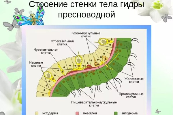 Кракен маркет свежие ссылки