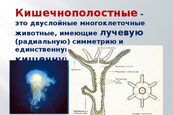 Кракен нарка шоп