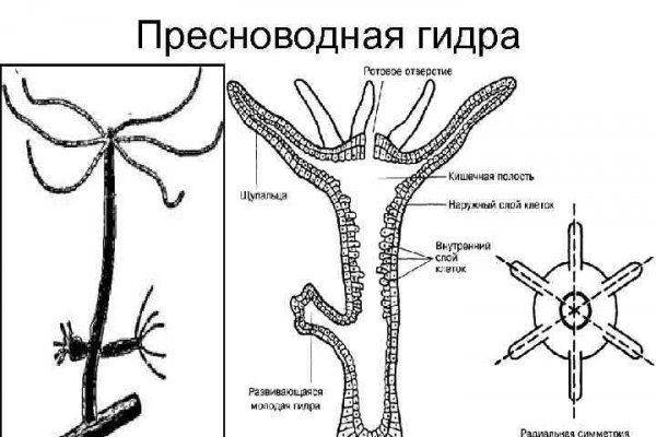 Ссылки тор браузер