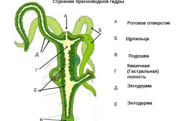 Как зайти на площадку кракен