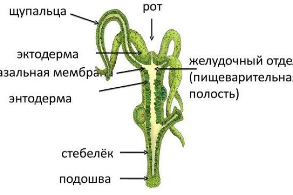 Кракен купить меф